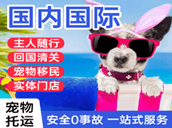 义勒力特航空物流国际宠物托运 【国